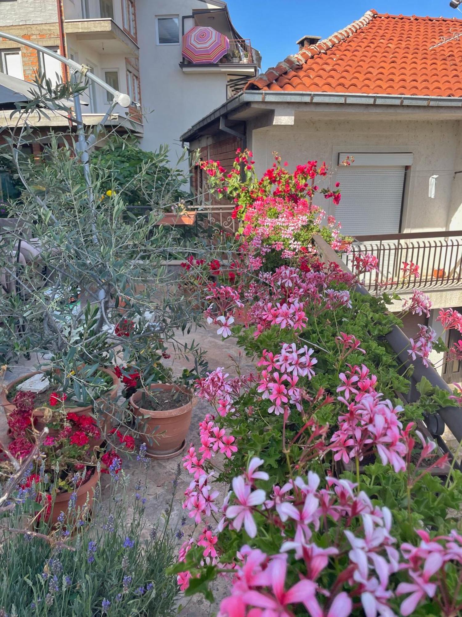 Apartments Evelyn أوهغيد المظهر الخارجي الصورة